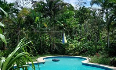Residential House and Lot for Sale – European-Standard Home at a Bargain Price!