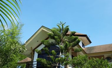 Residential House and Lot for Sale – European-Standard Home at a Bargain Price!