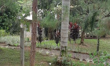 House and Lot for Sale Along Cuevas-Bislig Road – Elegant European Design, Budget Price!