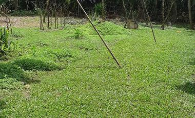 House and Lot for Sale Along Cuevas-Bislig Road – Elegant European Design, Budget Price!