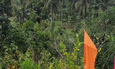 House and Lot for Sale Along Cuevas-Bislig Road – Elegant European Design, Budget Price!