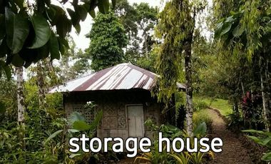House and Lot for Sale Along Cuevas-Bislig Road – Elegant European Design, Budget Price!