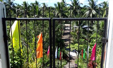 House and Lot for Sale Along Cuevas-Bislig Road – Elegant European Design, Budget Price!