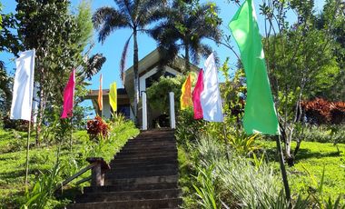 House and Lot for Sale Along Cuevas-Bislig Road – Elegant European Design, Budget Price!