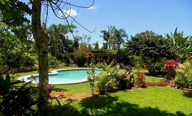 House and Lot for Sale Along Cuevas-Bislig Road – Elegant European Design, Budget Price!