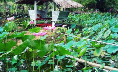 Modern European House and Lot for Sale in Cuevas, Trento – Best Value in Agusan del Sur!