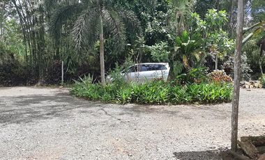Modern European House and Lot for Sale in Cuevas, Trento – Best Value in Agusan del Sur!