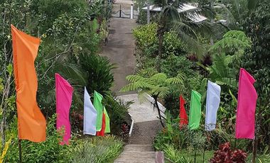 Modern European House and Lot for Sale in Cuevas, Trento – Best Value in Agusan del Sur!