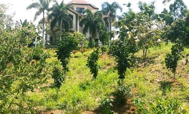 Modern European House and Lot for Sale in Cuevas, Trento – Best Value in Agusan del Sur!