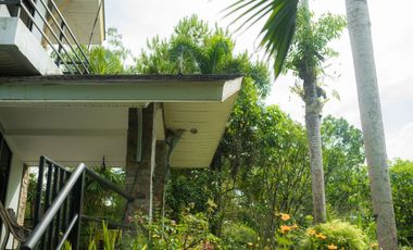 Modern European House and Lot for Sale in Cuevas, Trento – Best Value in Agusan del Sur!
