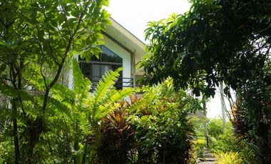 Modern European House and Lot for Sale in Cuevas, Trento – Best Value in Agusan del Sur!