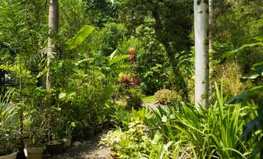 Modern European House and Lot for Sale in Cuevas, Trento – Best Value in Agusan del Sur!