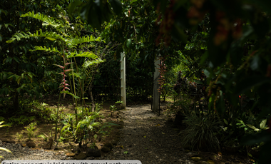 Modern European House and Lot for Sale in Cuevas, Trento – Best Value in Agusan del Sur!