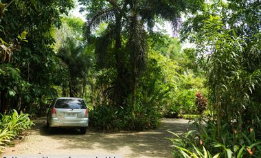 Modern European House and Lot for Sale in Cuevas, Trento – Best Value in Agusan del Sur!