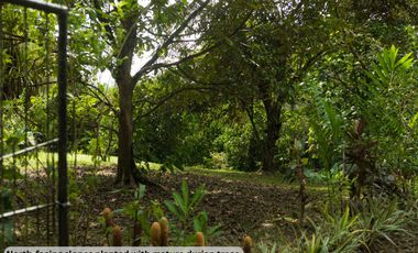 Modern European House and Lot for Sale in Cuevas, Trento – Best Value in Agusan del Sur!