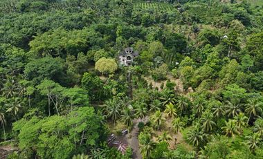 Modern European House and Lot for Sale in Cuevas, Trento – Best Value in Agusan del Sur!