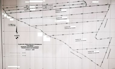 TERRENO EN VENTA DE 287 HECTAREAS EN JOCOTEPEC, JALISCO
