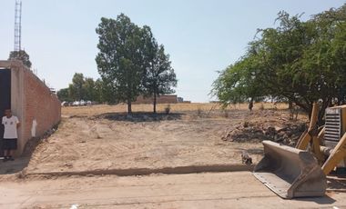 TERRENO EN CHICHAHUALES