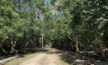 📣 Terrenos Campestres en Venta en Tulum desde $924,000 MXN | Enganche desde 30% y 3 años para pagar SIN intereses