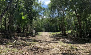 📣 Terrenos Campestres en Venta en Tulum desde $924,000 MXN | Enganche desde 30% y 3 años para pagar SIN intereses