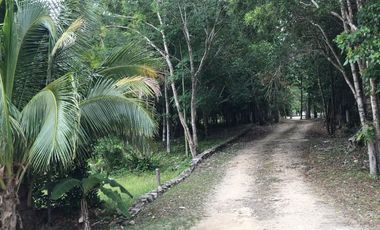 📣 Terrenos Campestres en Venta en Tulum desde $924,000 MXN | Enganche desde 30% y 3 años para pagar SIN intereses