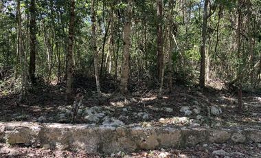 📣 Terrenos Campestres en Venta en Tulum desde $924,000 MXN | Enganche desde 30% y 3 años para pagar SIN intereses