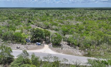 📣 Terrenos Campestres en Venta en Tulum desde $924,000 MXN | Enganche desde 30% y 3 años para pagar SIN intereses