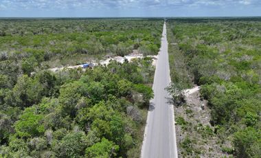 📣 Terrenos Campestres en Venta en Tulum desde $924,000 MXN | Enganche desde 30% y 3 años para pagar SIN intereses