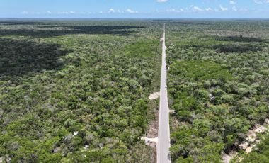 📣 Terrenos Campestres en Venta en Tulum desde $924,000 MXN | Enganche desde 30% y 3 años para pagar SIN intereses