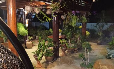 Lanna Style Teak 3-BRM Pool Home for Sale, Khon San, Chaiyaphum Thailand