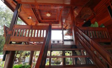 Lanna Style Teak 3-BRM Pool Home for Sale, Khon San, Chaiyaphum Thailand