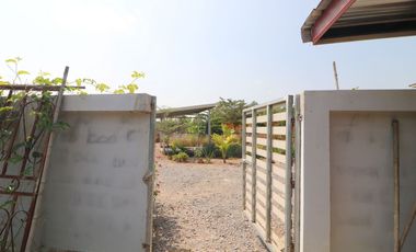 Lanna Style Teak 3-BRM Pool Home for Sale, Khon San, Chaiyaphum Thailand