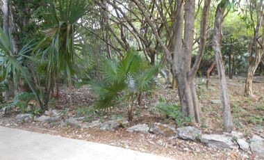 EXCELENTE TERRENO EN VENTA EN PLAYACAR, INMEJORABLE UBICACIÓNQ ROO