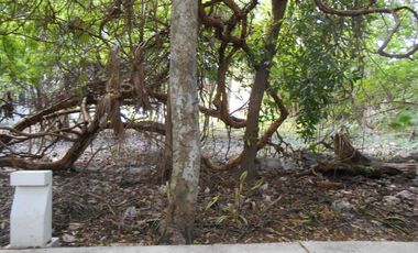 EXCELENTE TERRENO EN VENTA EN PLAYACAR, INMEJORABLE UBICACIÓNQ ROO