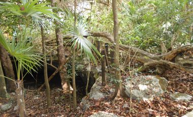 EXCELENTE TERRENO EN VENTA EN PLAYACAR, INMEJORABLE UBICACIÓNQ ROO