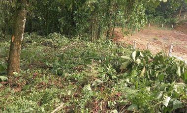 Terreno en venta Pedro Vicente Maldonado/ Cascada Azul