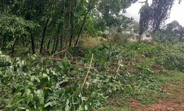 Terreno en venta Pedro Vicente Maldonado/ Cascada Azul