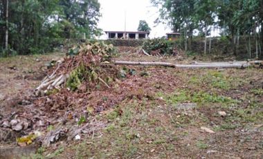 Terreno en venta Pedro Vicente Maldonado/ Cascada Azul