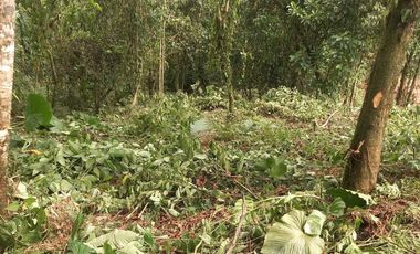 Terreno en venta Pedro Vicente Maldonado/ Cascada Azul