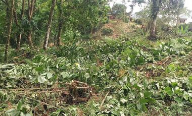Terreno en venta Pedro Vicente Maldonado/ Cascada Azul