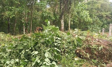 Terreno en venta Pedro Vicente Maldonado/ Cascada Azul