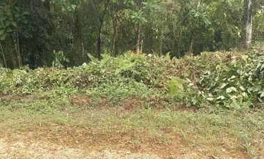Terreno en venta Pedro Vicente Maldonado/ Cascada Azul