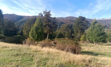 VENDO 16 HECTAREAS, DISTANTE A 10 MINUTOS DE BAHÍA MURTA,  COMUNA DE IBÁÑEZ, REGIÓN DE AYSEN