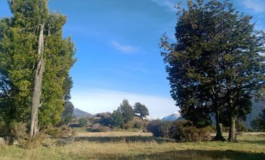 VENDO 16 HECTAREAS, DISTANTE A 10 MINUTOS DE BAHÍA MURTA,  COMUNA DE IBÁÑEZ, REGIÓN DE AYSEN