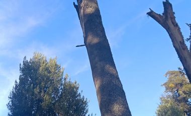 VENDO 16 HECTAREAS, DISTANTE A 10 MINUTOS DE BAHÍA MURTA,  COMUNA DE IBÁÑEZ, REGIÓN DE AYSEN