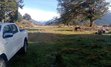 VENDO 16 HECTAREAS, DISTANTE A 10 MINUTOS DE BAHÍA MURTA,  COMUNA DE IBÁÑEZ, REGIÓN DE AYSEN