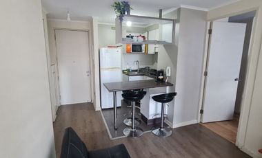 Acogedor departamento en Concepción