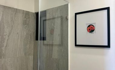 DEPARTAMENTO EN RENTA EN BARRIO SANTO SAN MIGUEL DE ALLENDE SIN AMUEBLAR