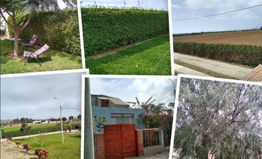 LOTES URBANOS CON VISTA AL CAMPO  EN SAN LUIS DE CAÑETE