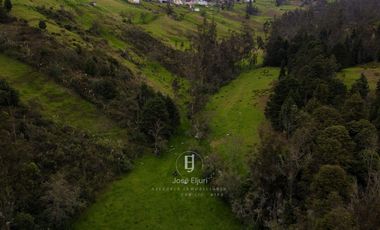 PROPIEDAD EN VENTA SECTOR ZHUCAY TARQUI - HACIENDA PARA USO COMERCIAL, GANADERIA, AGRICULTURA, HOTELERIA